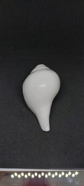 Blowing Shankh (Vama varti)