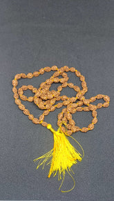 2 Mukhi Rudraksh Mala