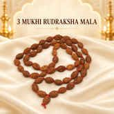 3 Mukhi Rudraksh Mala