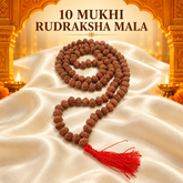 10 Mukhi Rudraksh Mala