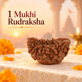 1 Mukhi Rudraksh