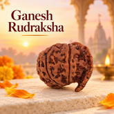 Ganesh Nepali Rudraksh