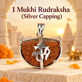 1 mukhi rudraksh silver capping