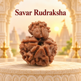 Savar Nepali Rudraksh