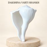 Dakshinavarti Shankh (Right-Handed Conch)