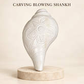 Blowing Shankh Vamavarti (Carving)