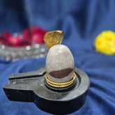Narmadeswar shivling