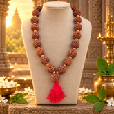 5 Mukhi Nepali Rudraksh Kantha (Veri Big Size)