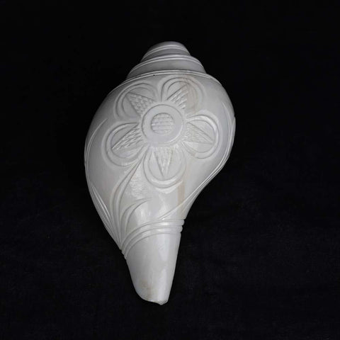 Blowing Shankh Vamavarti (Carving)