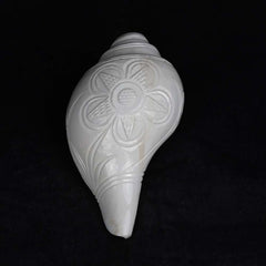 Blowing Shankh Vamavarti (Carving)