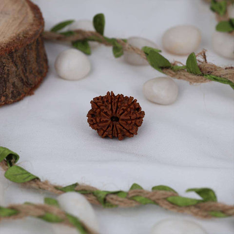 10 Mukhi Nepali Rudraksh