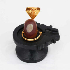 Narmadeshwar Shivling