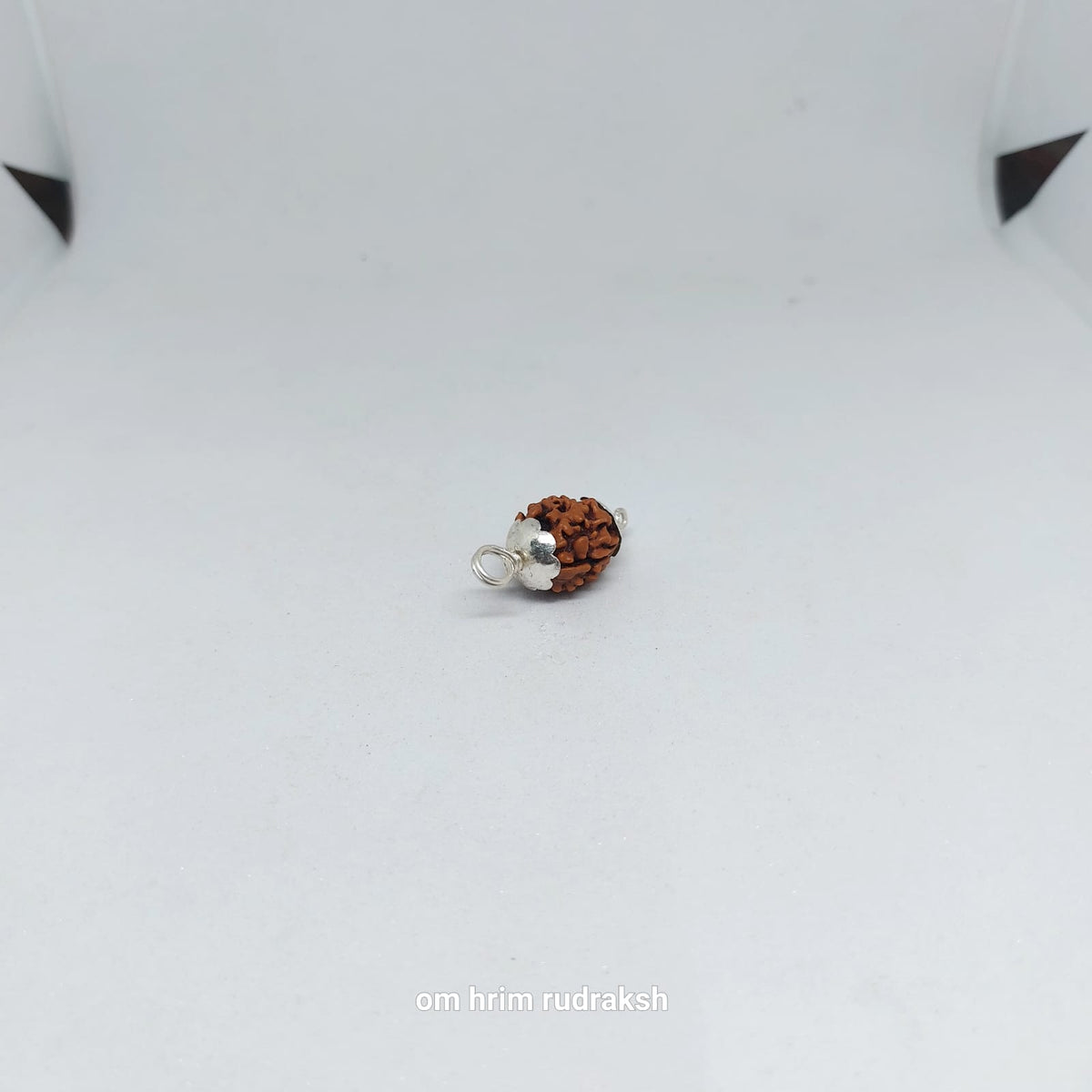 2 Mukhi Himalayan Rudraksh