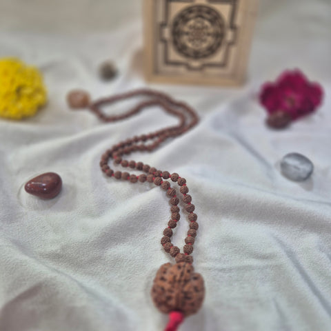 6 Mukhi Nepali Rudraksha + 5 Mukhi Indonesian Rudraksha Mala Combination