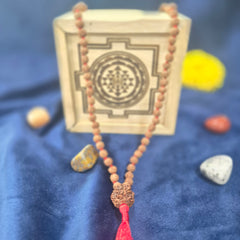 3 Mukhi Nepali Rudraksh + 5 Mukhi Indonesia mala