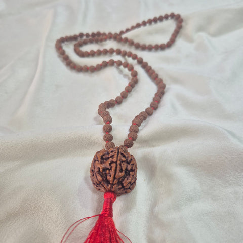 6 Mukhi Nepali Rudraksha + 5 Mukhi Indonesian Rudraksha Mala Combination