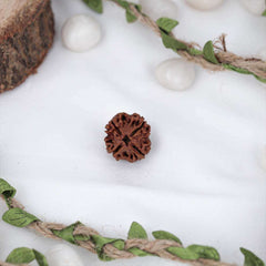 4 Mukhi Nepali Rudraksh