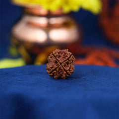 4 Mukhi Nepali Rudraksh