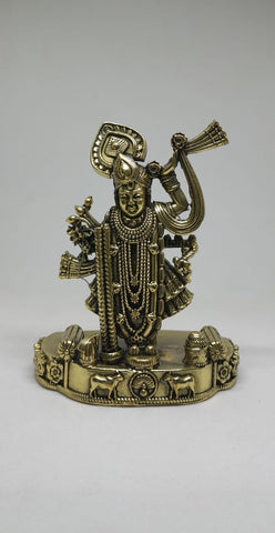 Shrinathji