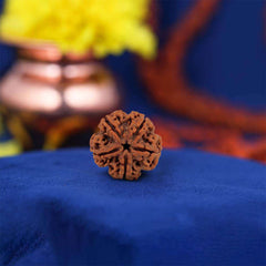 5 Mukhi Nepali Rudraksh