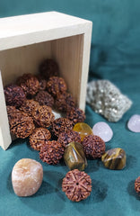 5 Mukhi Nepali Rudraksh