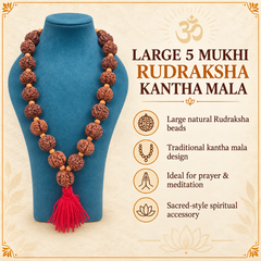 5 Mukhi Nepali Rudraksh Kantha (Veri Big Size)