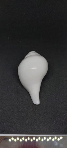 Blowing Shankh (Vama varti)