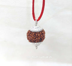 7 Mukhi Nepali Rudraksh