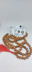 7 Mukhi Rudraksh Mala
