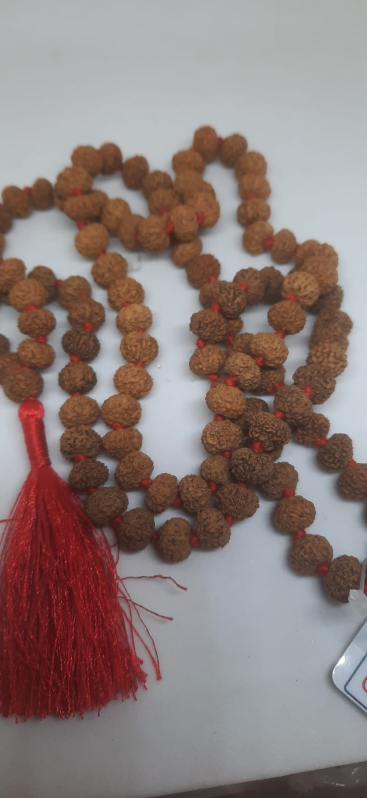 8 Mukhi Rudraksh Mala