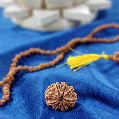 8 Mukhi Nepali Rudraksh