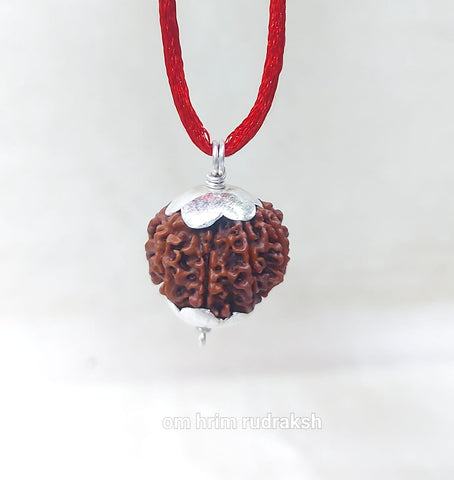 9 Mukhi Nepali Rudraksh