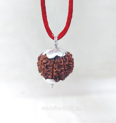 9 Mukhi Nepali Rudraksh