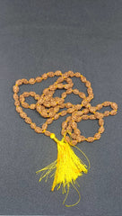 2 Mukhi Rudraksh Mala