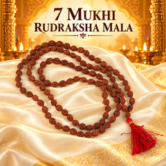 7 Mukhi Rudraksh Mala
