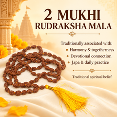 2 Mukhi Rudraksh Mala