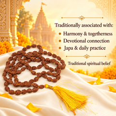 2 Mukhi Rudraksh Mala