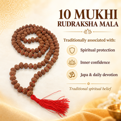 10 Mukhi Rudraksh Mala
