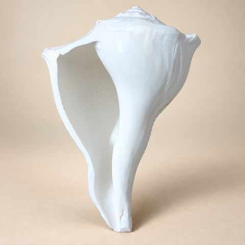 Dakshinavarti Shankh (Right-Handed Conch)