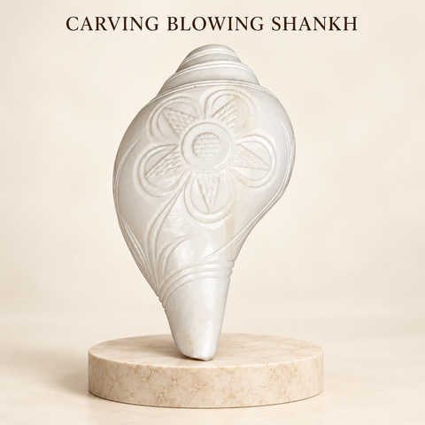Blowing Shankh Vamavarti (Carving)