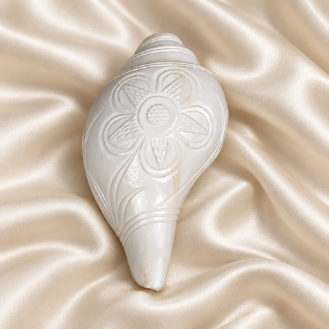 Blowing Shankh Vamavarti (Carving)