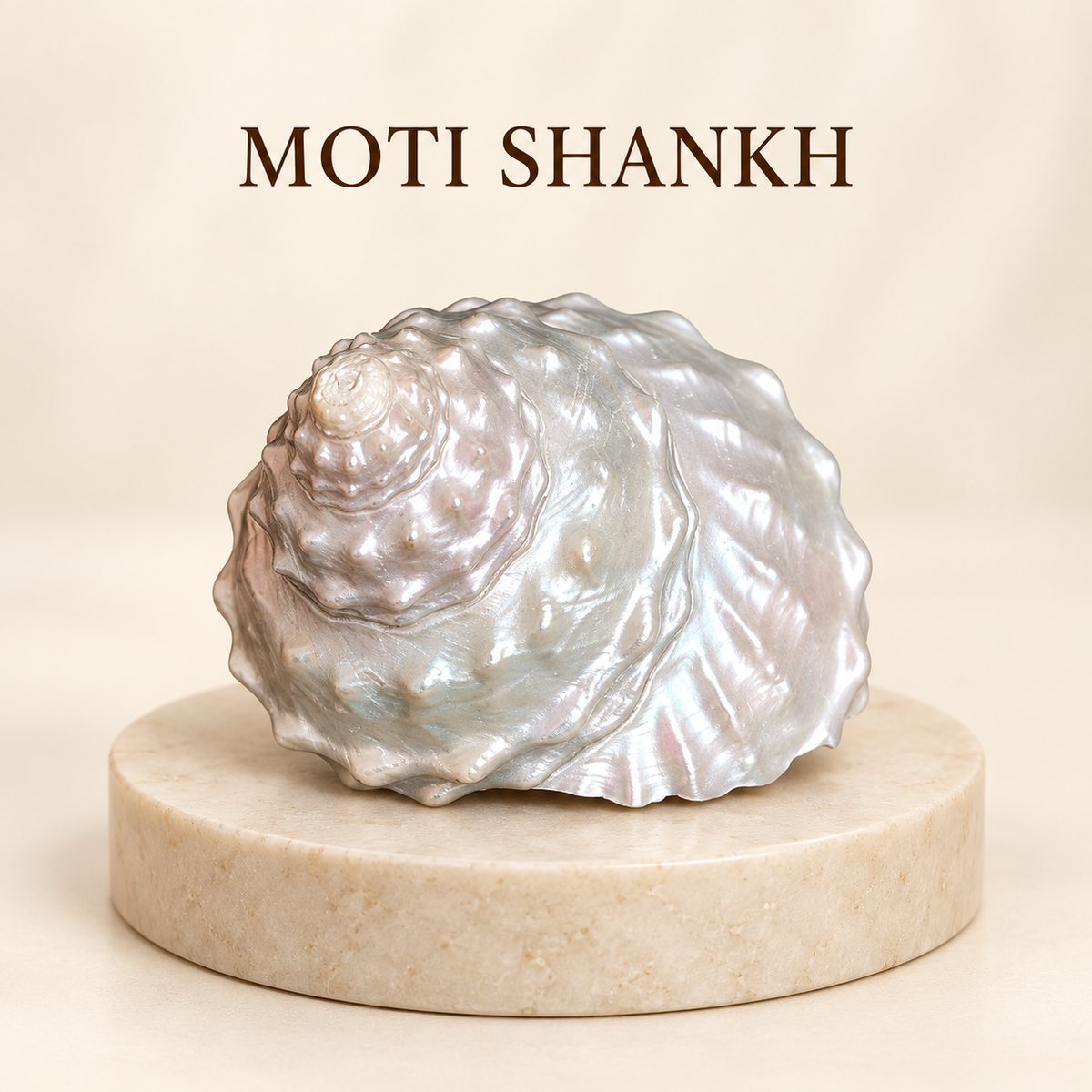 Moti Shankh