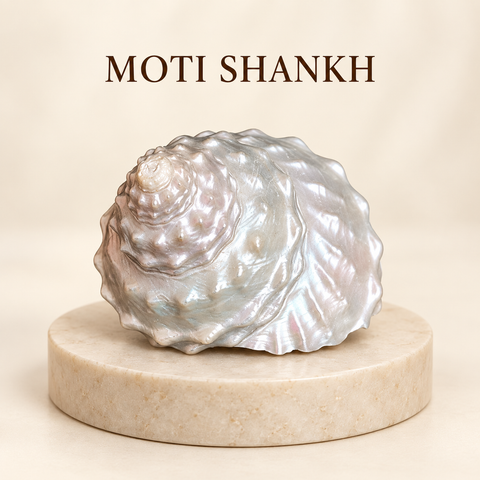 Moti Shankh