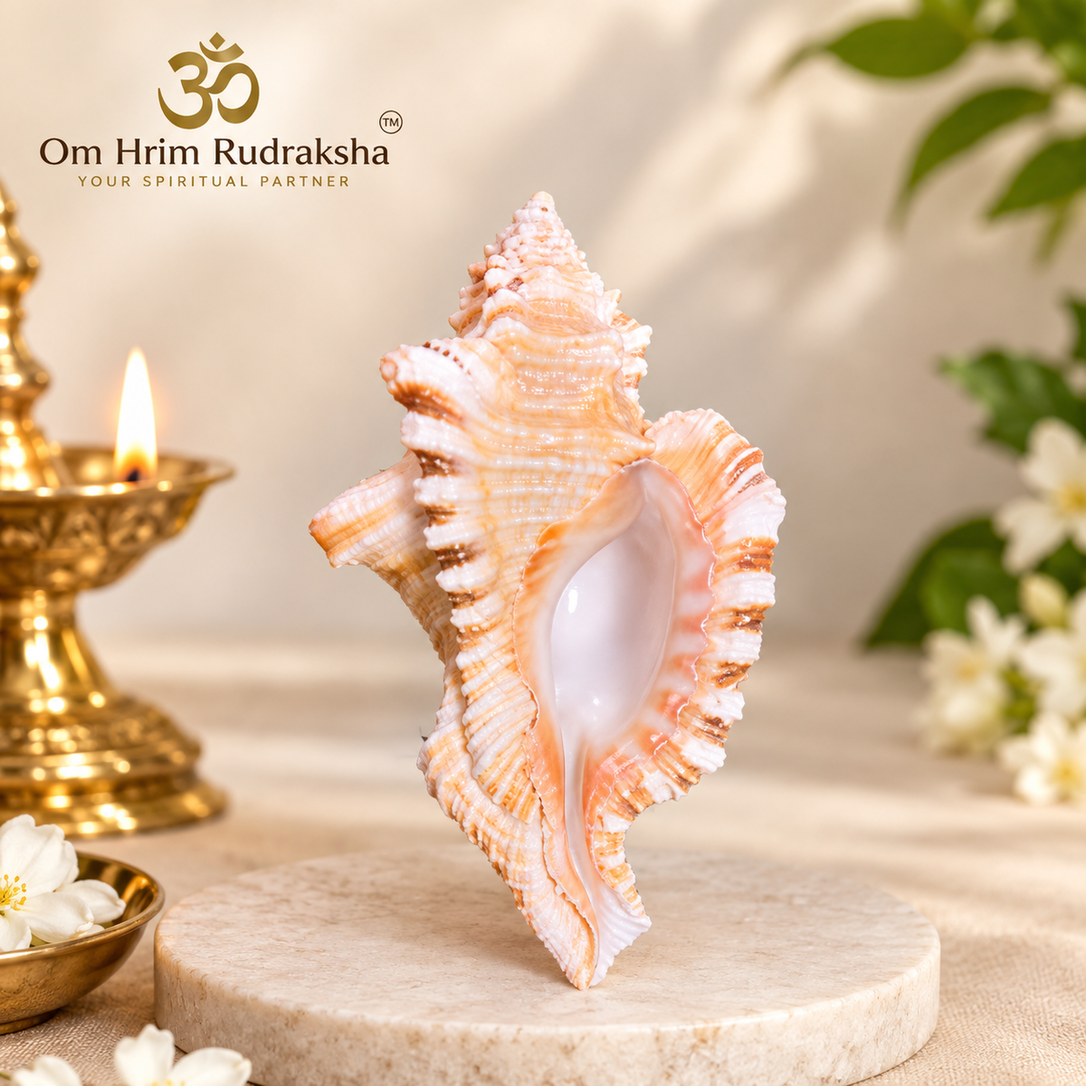 Ganesh Shankh