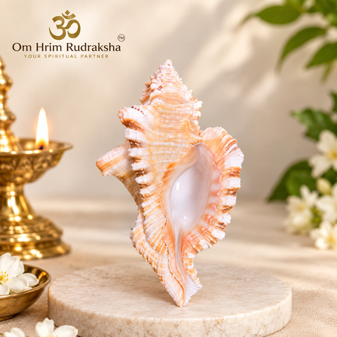 Ganesh Shankh
