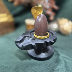 Narmadeswar shivling