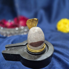 Narmadeswar shivling