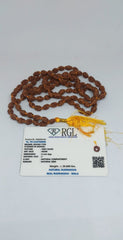 4 Mukhi Rudraksh Mala