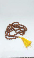 2 Mukhi Rudraksh Mala