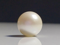 South Sea Pearl (Moti) – Chandra Ratna